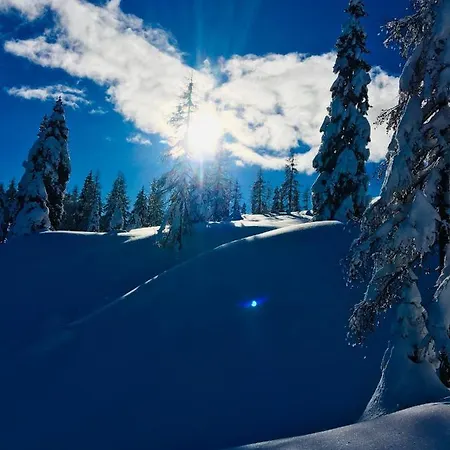 Tom's Alpenhuette Jenig