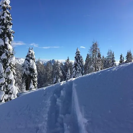 Tom's Jaegerlodge * Jenig
