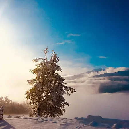 Tom's Alpenhuette *